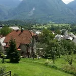 Lejlighed Polovnik