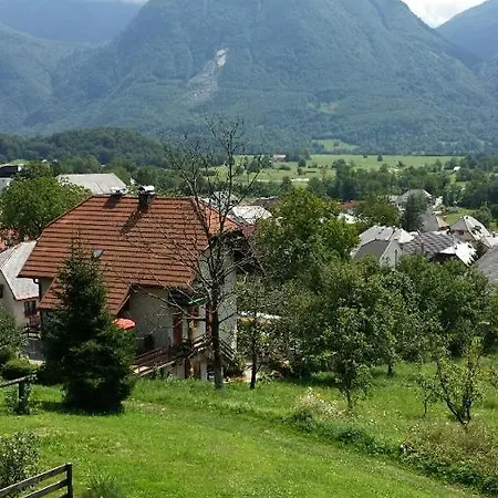 شقة Polovnik